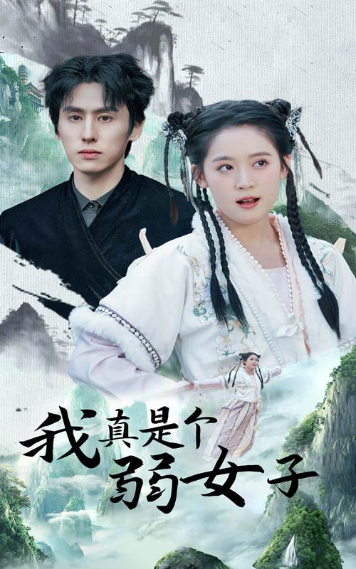 我真是个弱女子海报