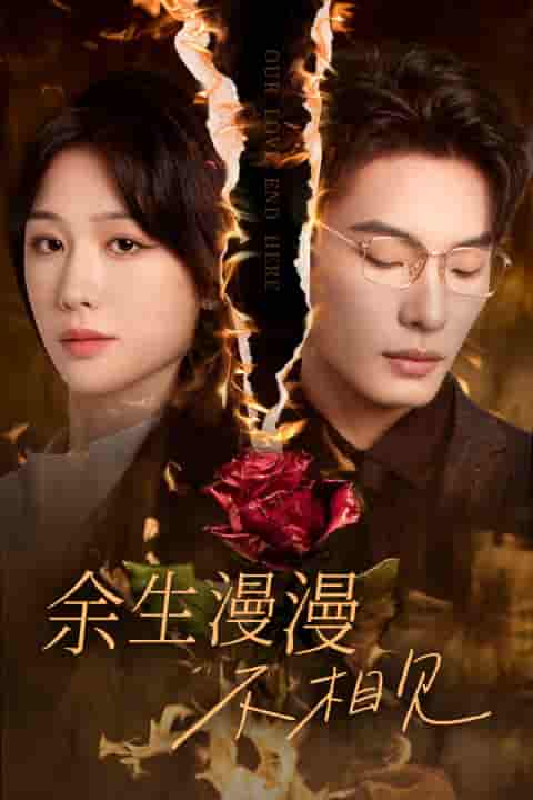 余生漫漫不相见海报