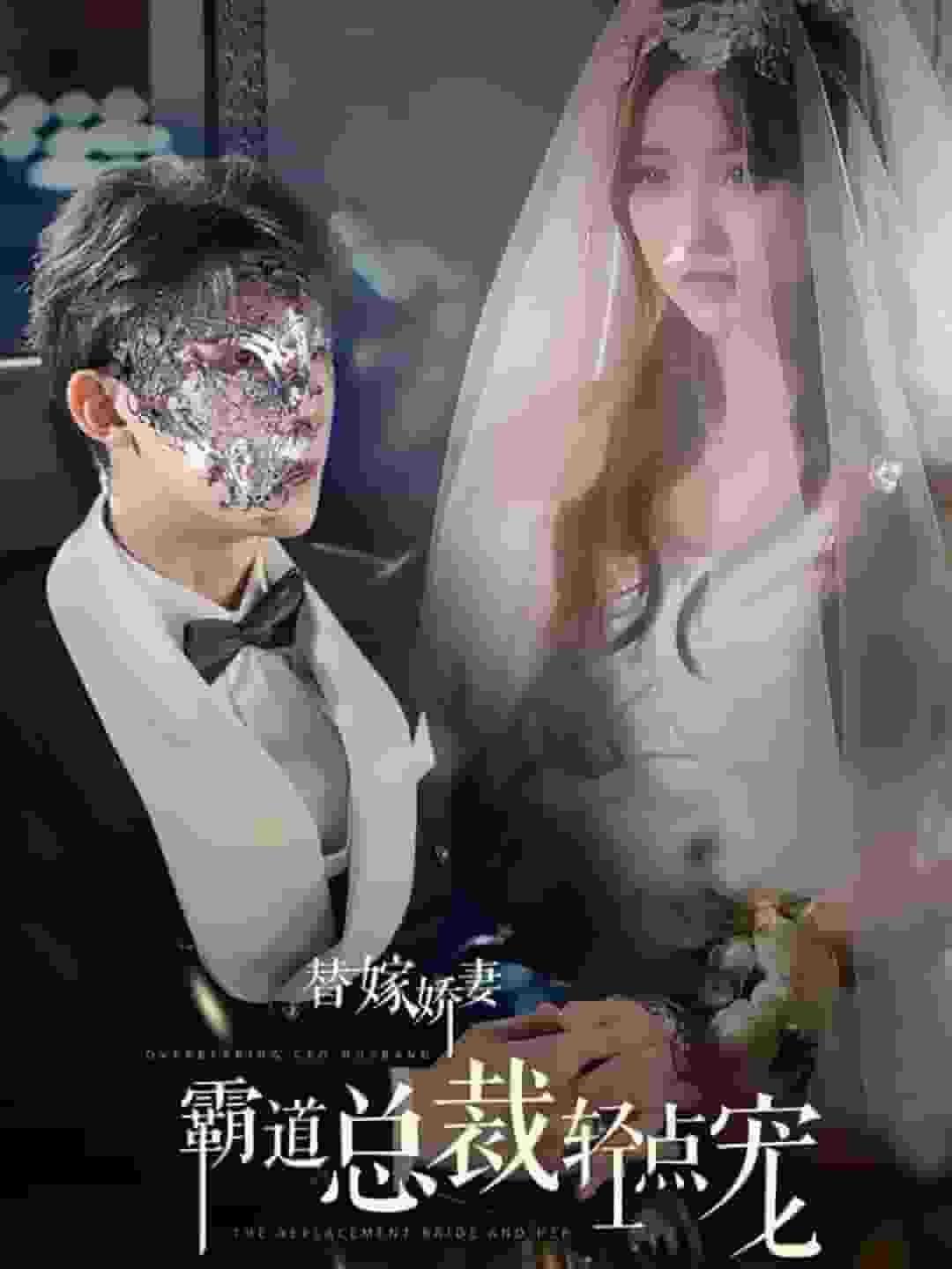 替嫁娇妻偏执总裁轻点宠海报