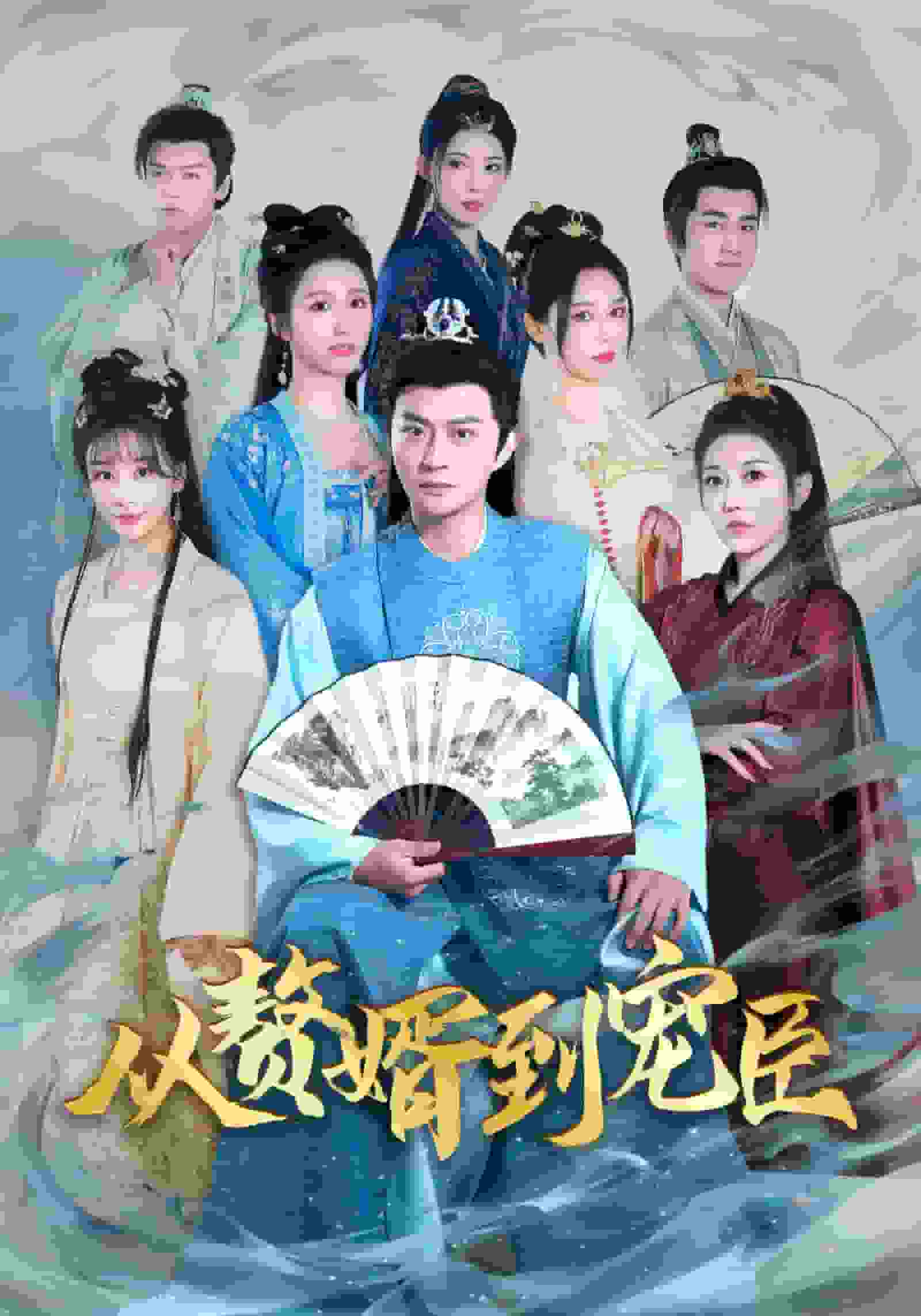 从赘婿到宠臣海报