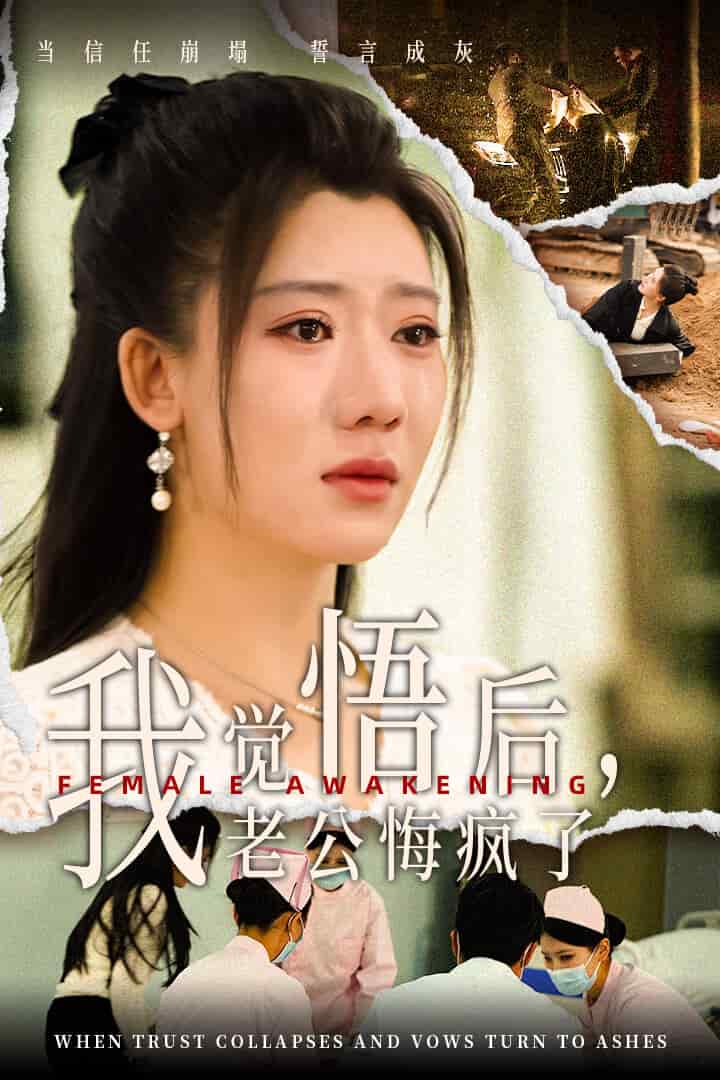 觉悟后老公悔疯了海报