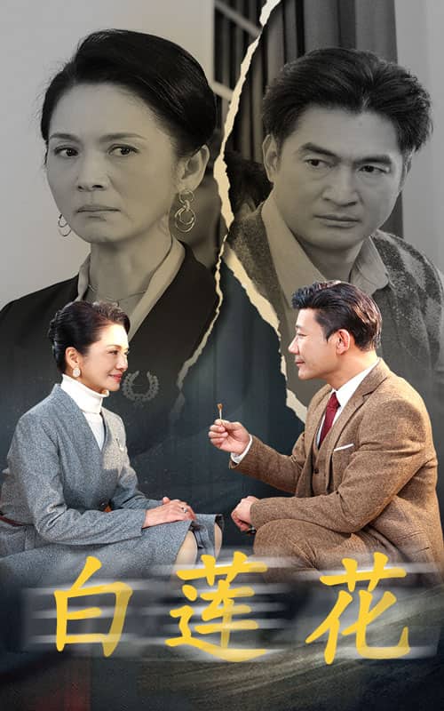 白莲花 短剧版海报