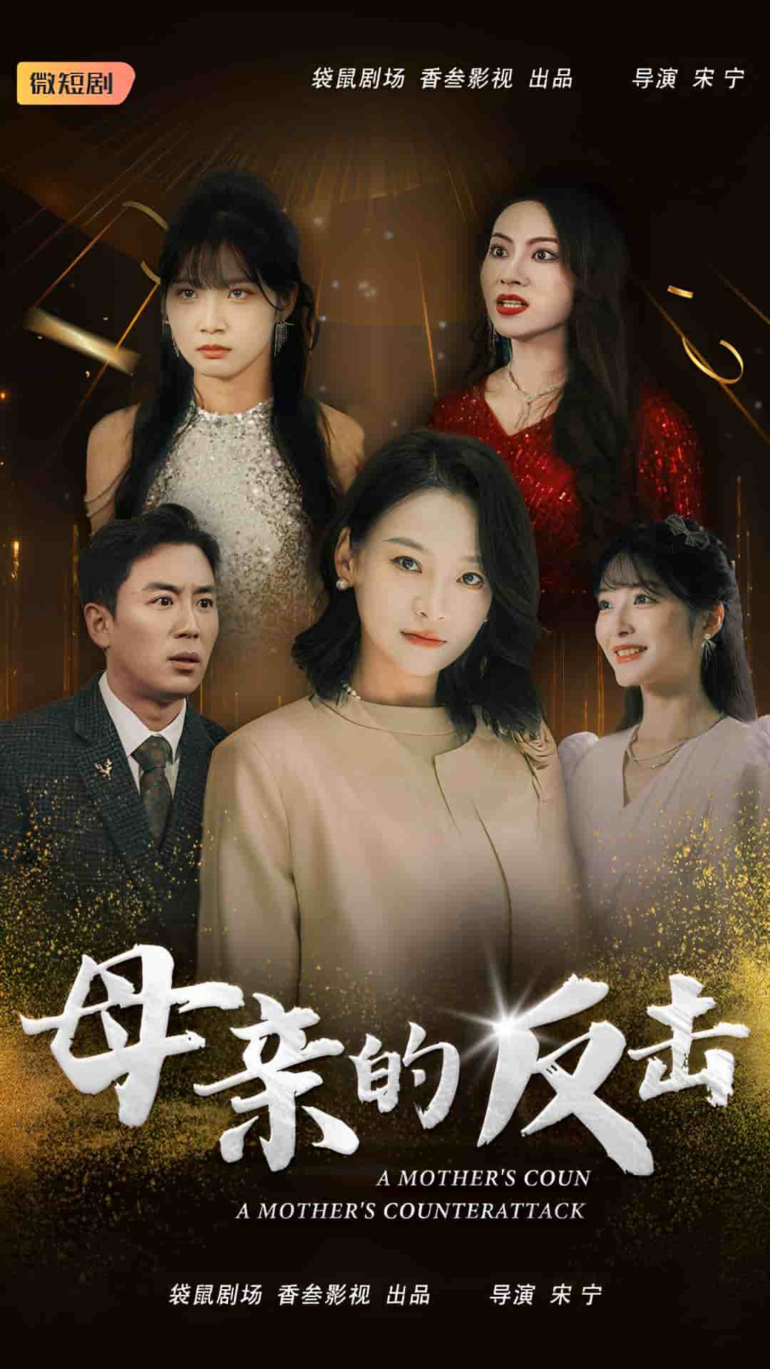 母亲的反击海报