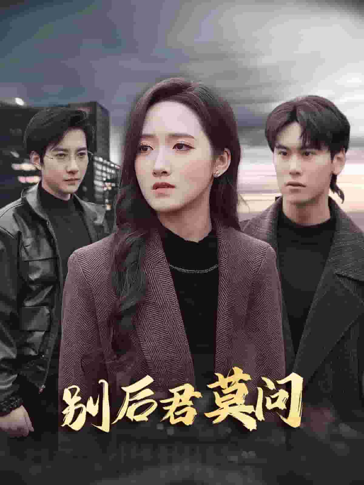 别后悠悠君莫问海报