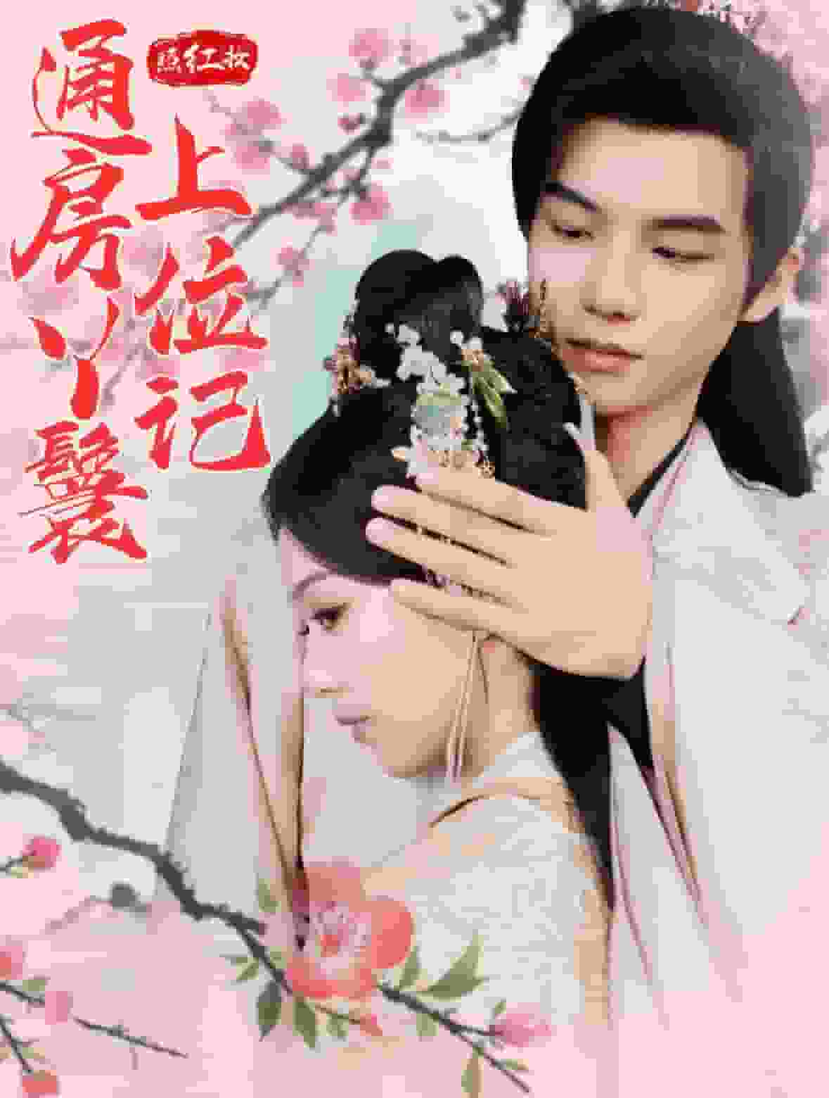 照红妆通房丫鬟上位记海报