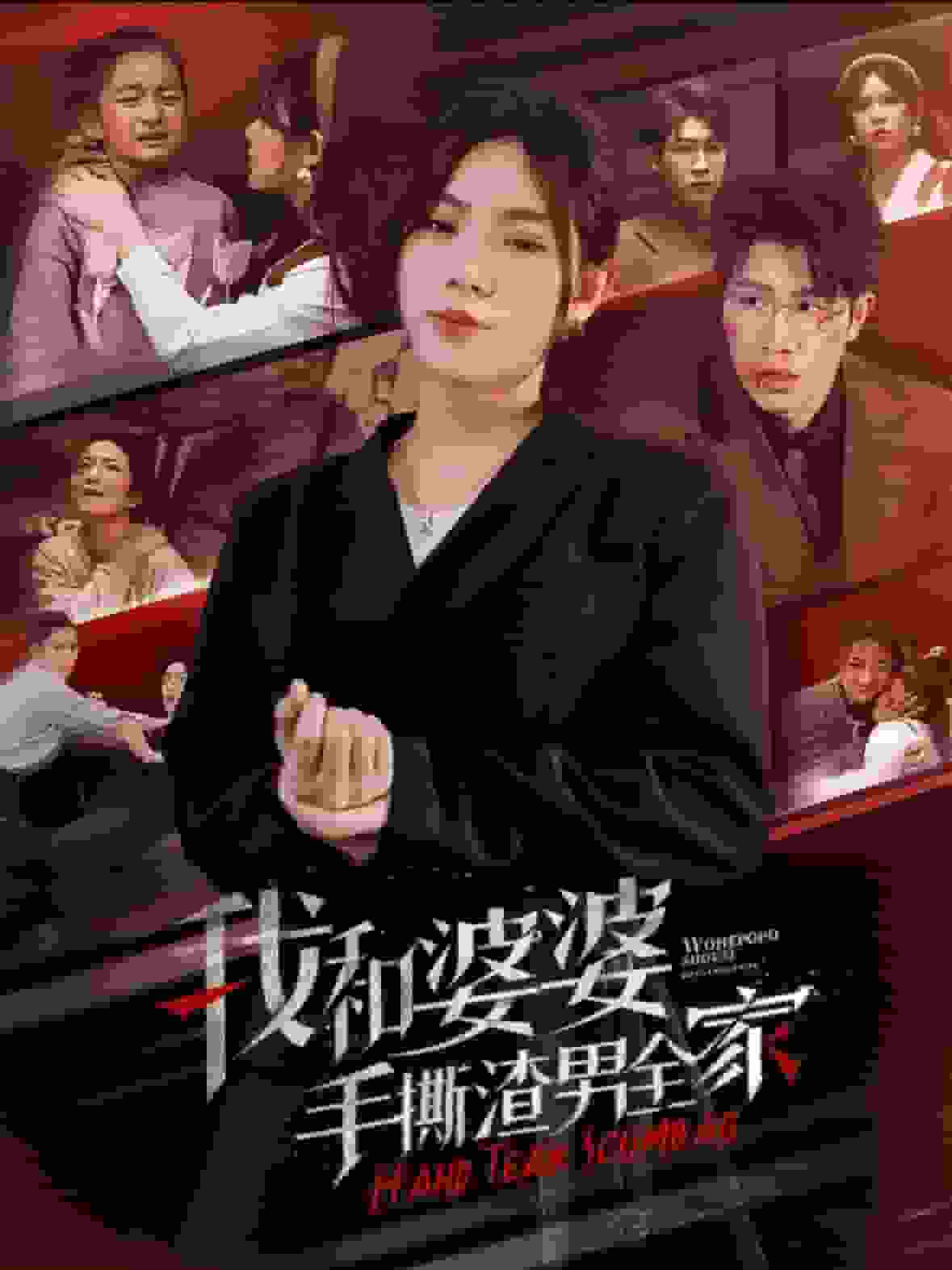 我和婆婆手撕渣男全家海报