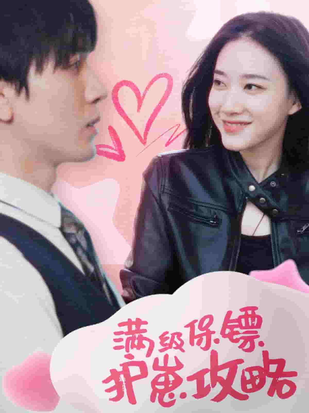 满级特工的抢崽攻略海报