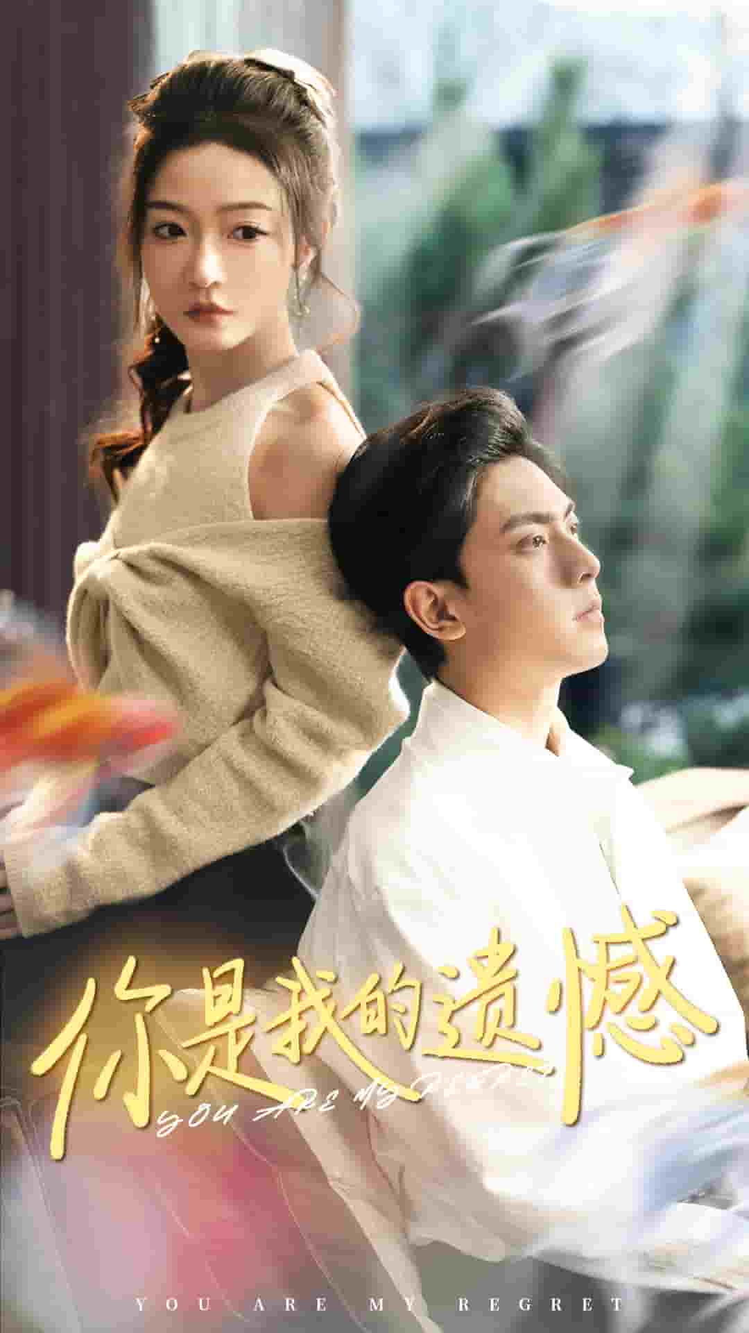 你是我的遗憾海报