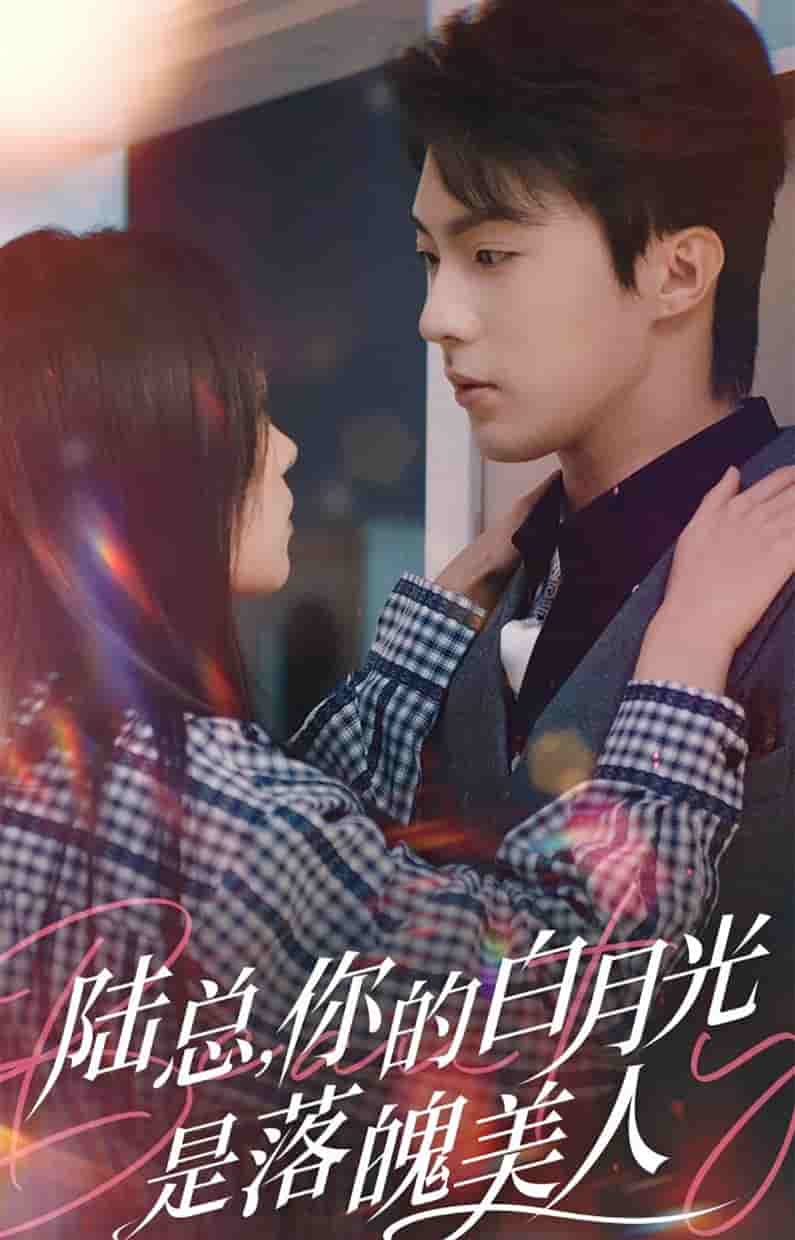 陆总你的白月光是落魄美人海报