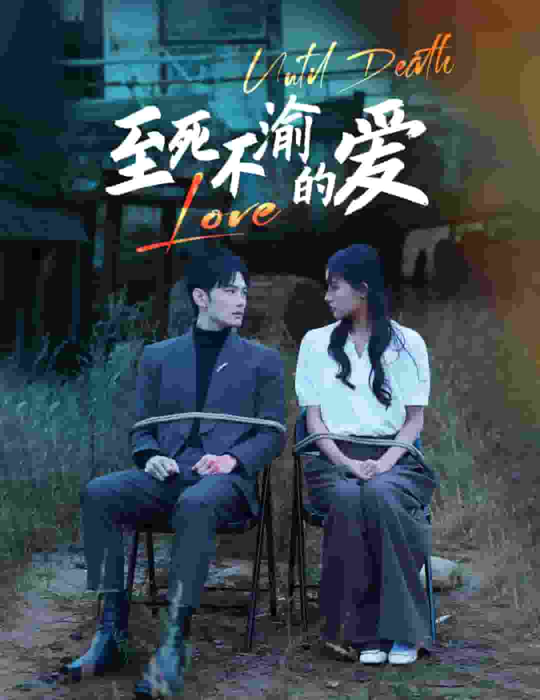 至死不渝的爱海报