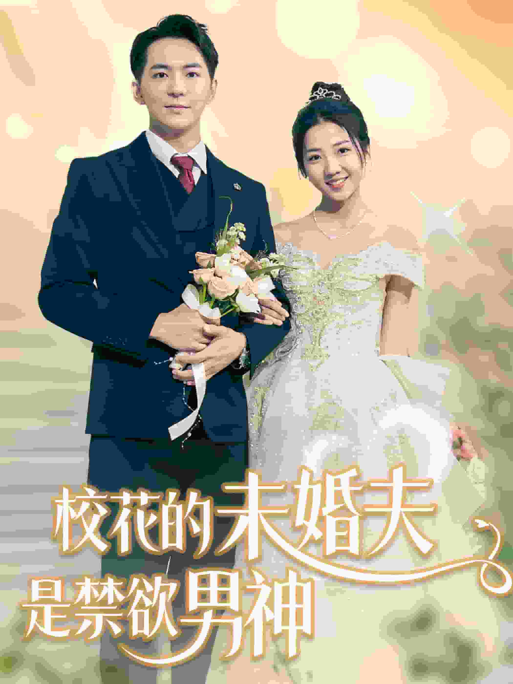 校花的未婚夫是禁欲男神海报