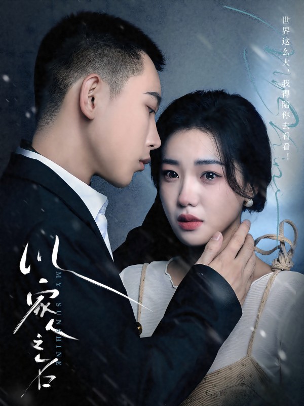 以家人之名 短剧版海报