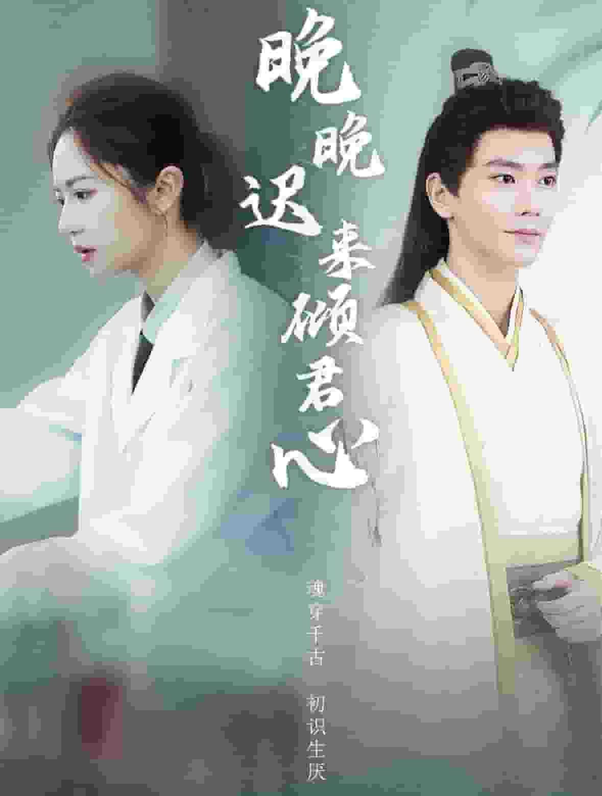 晚晚迟来倾君心海报