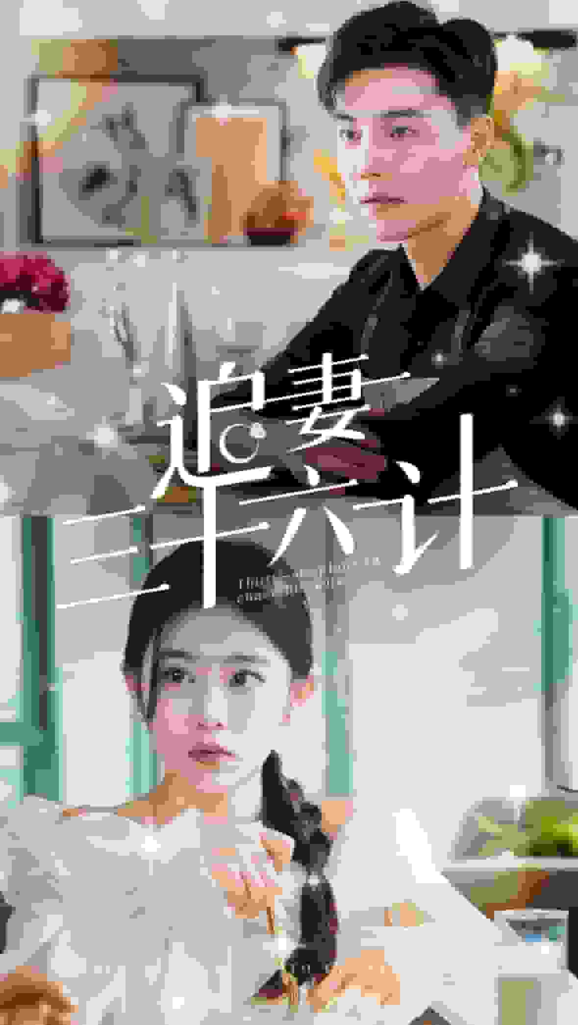 追妻三十六计海报