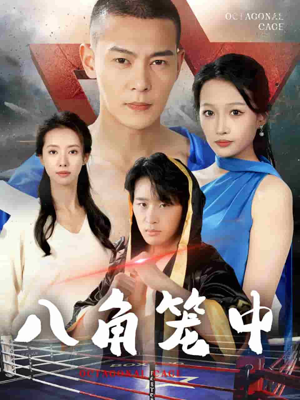 八角笼中 短剧版海报