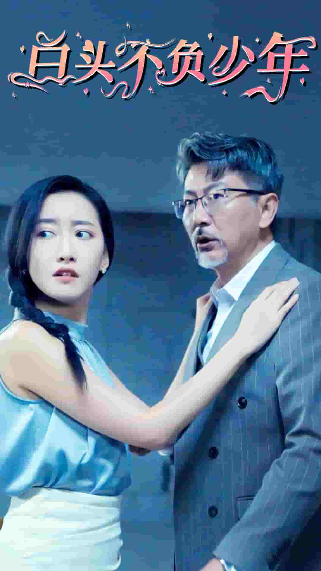 白头不负少年海报