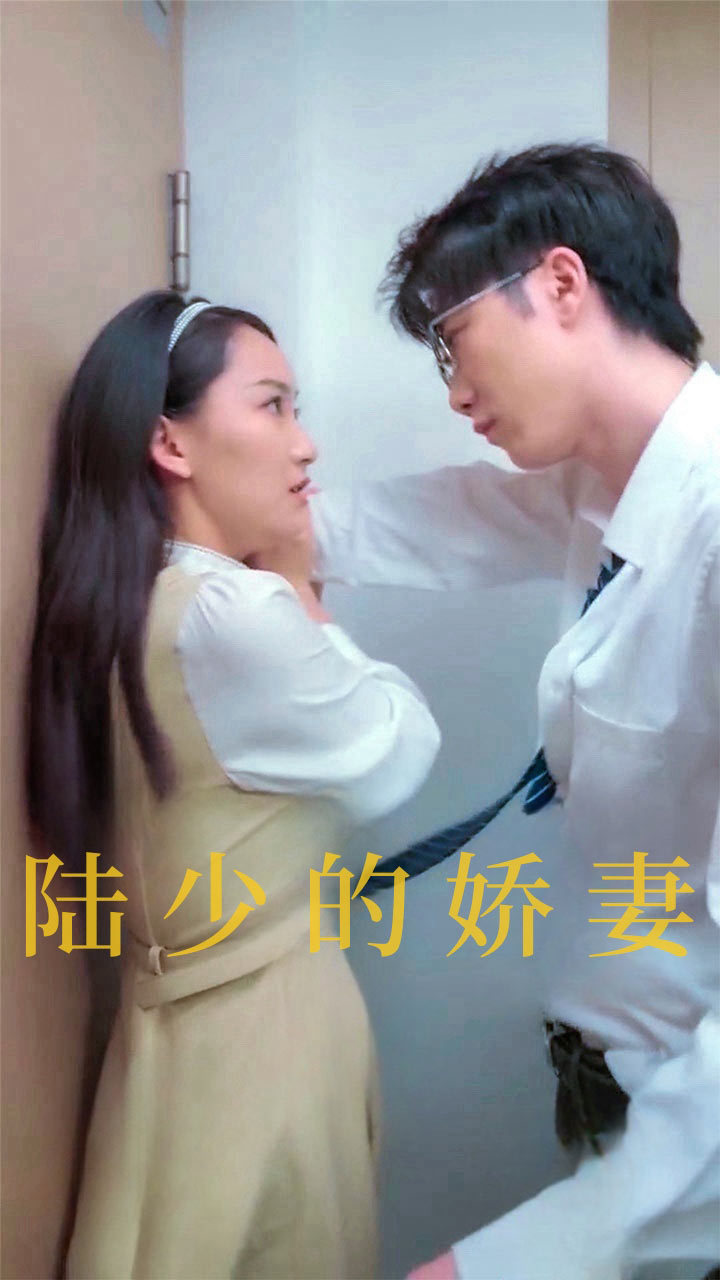 陆少的娇妻海报