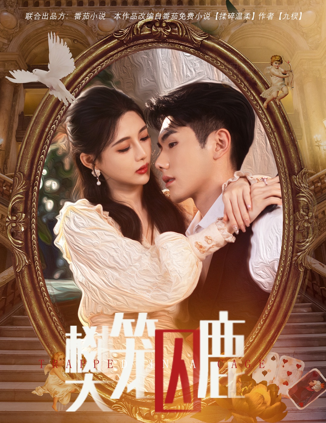 偏执大佬的金丝雀海报