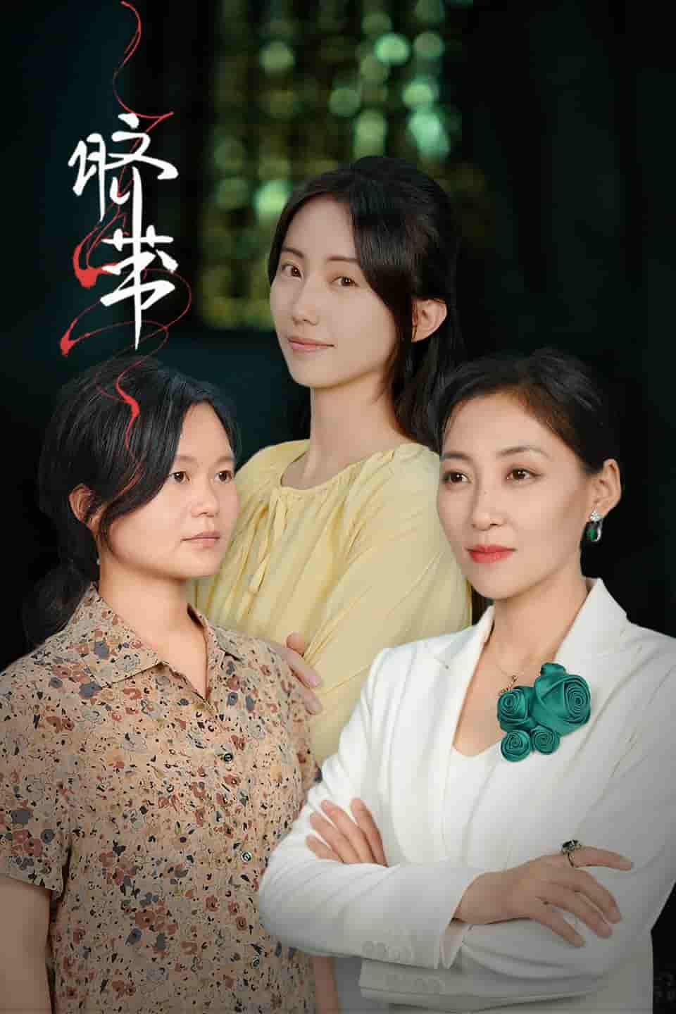 脐带 短剧版海报