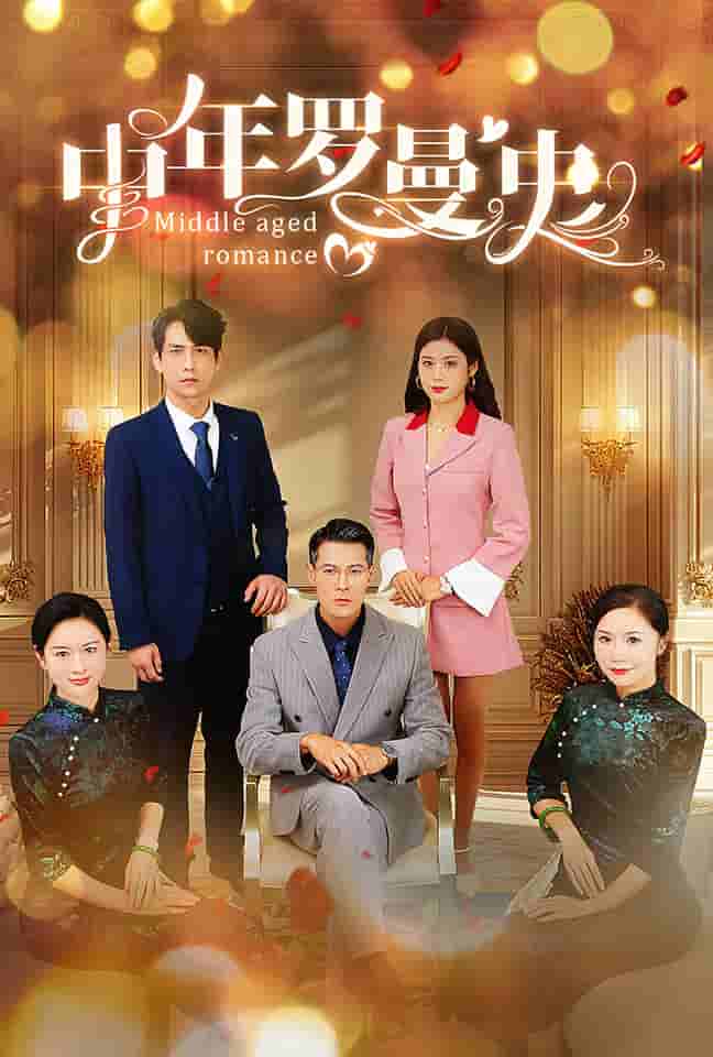中年罗曼史海报