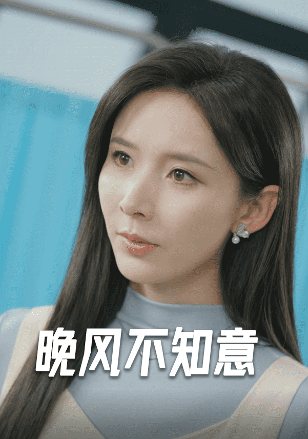 晚风不知意海报