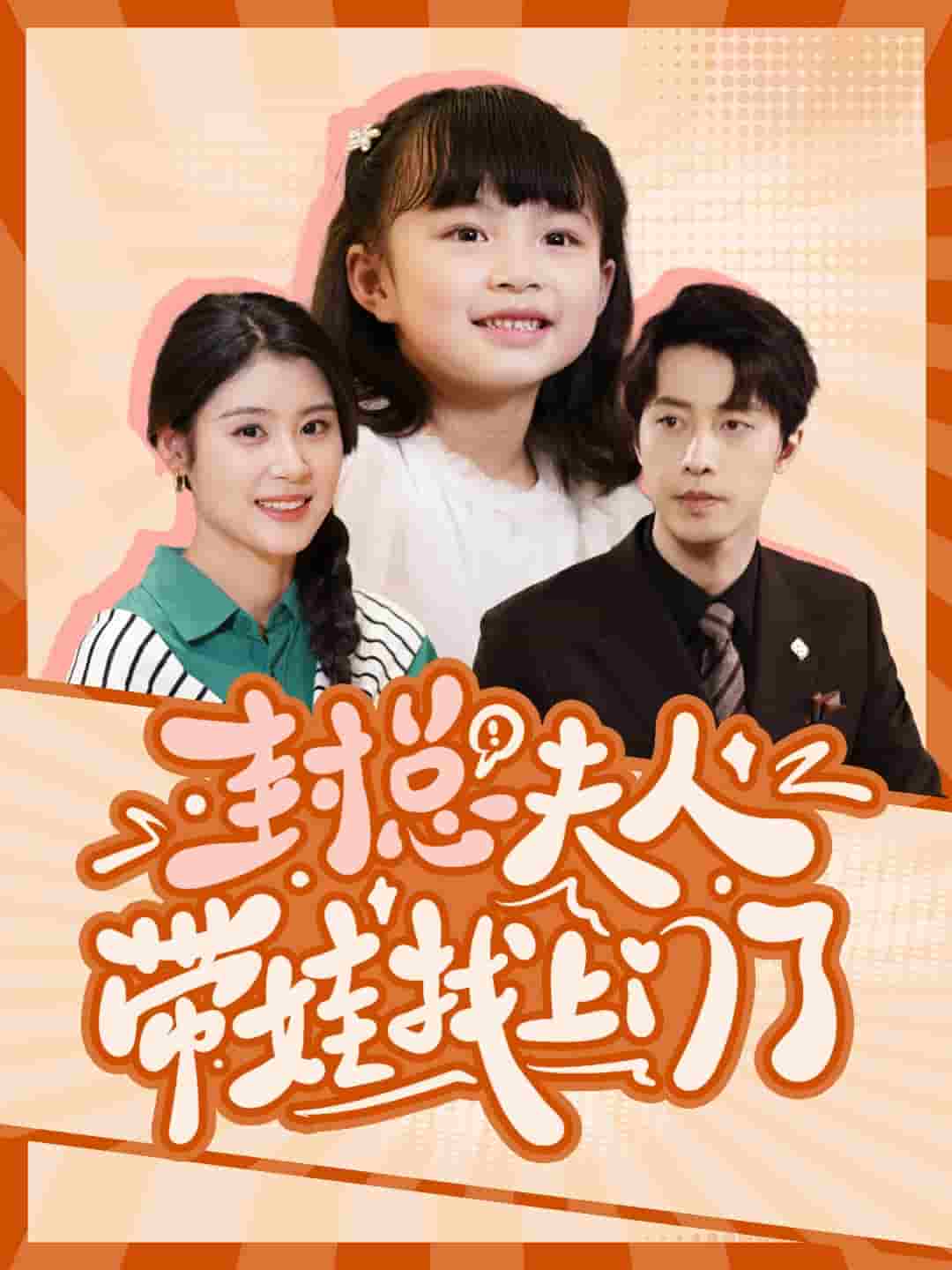 封总夫人带娃找上门了海报