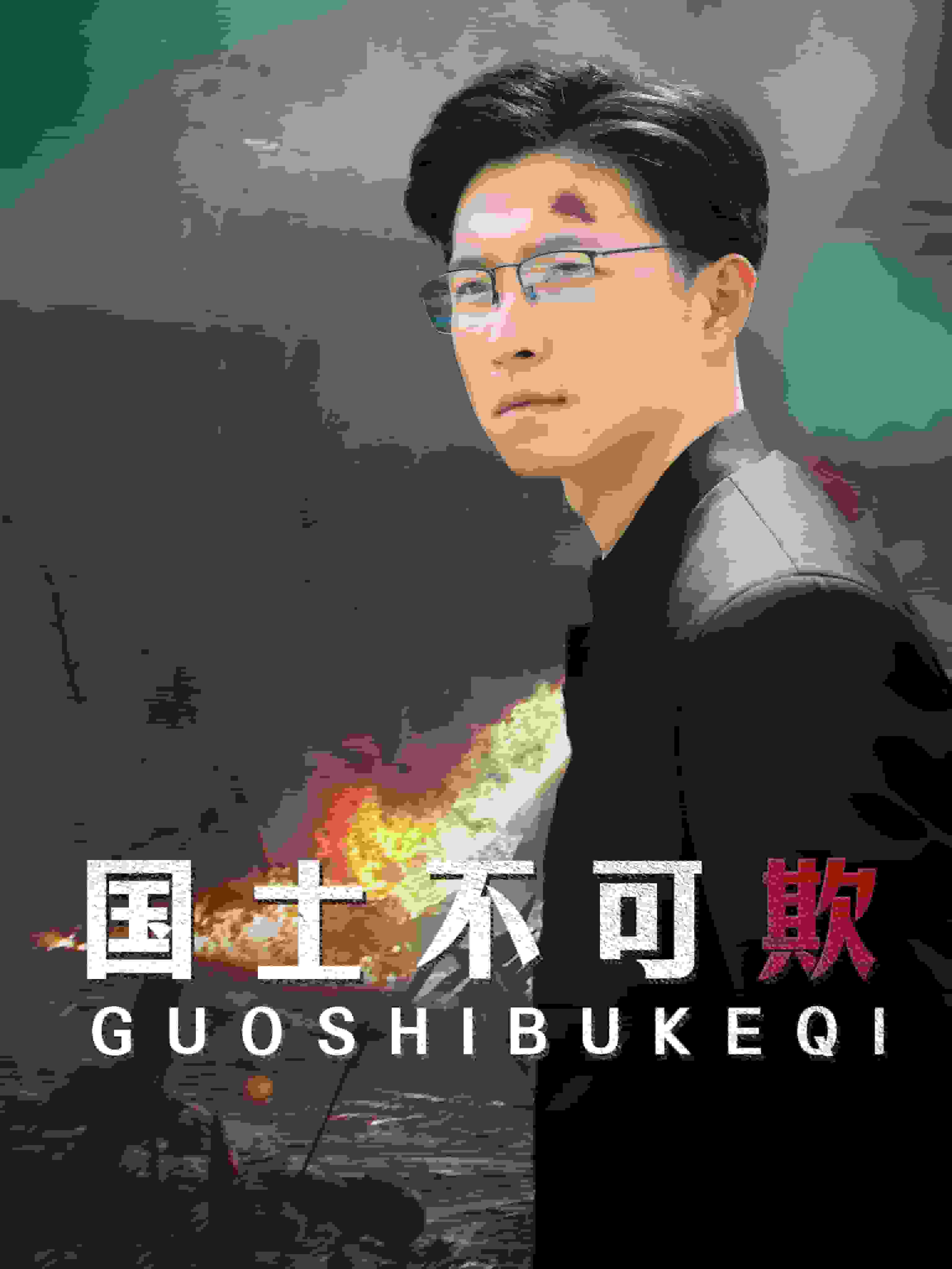 国士不可欺海报