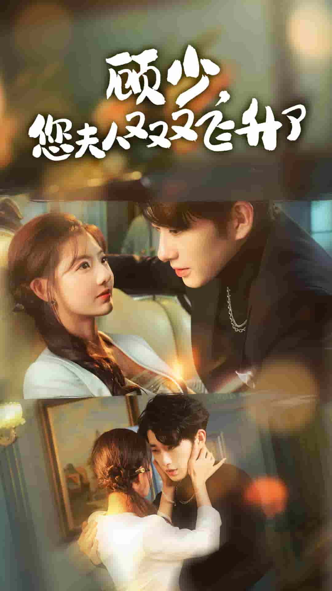 顾少您夫人又又又飞升了海报