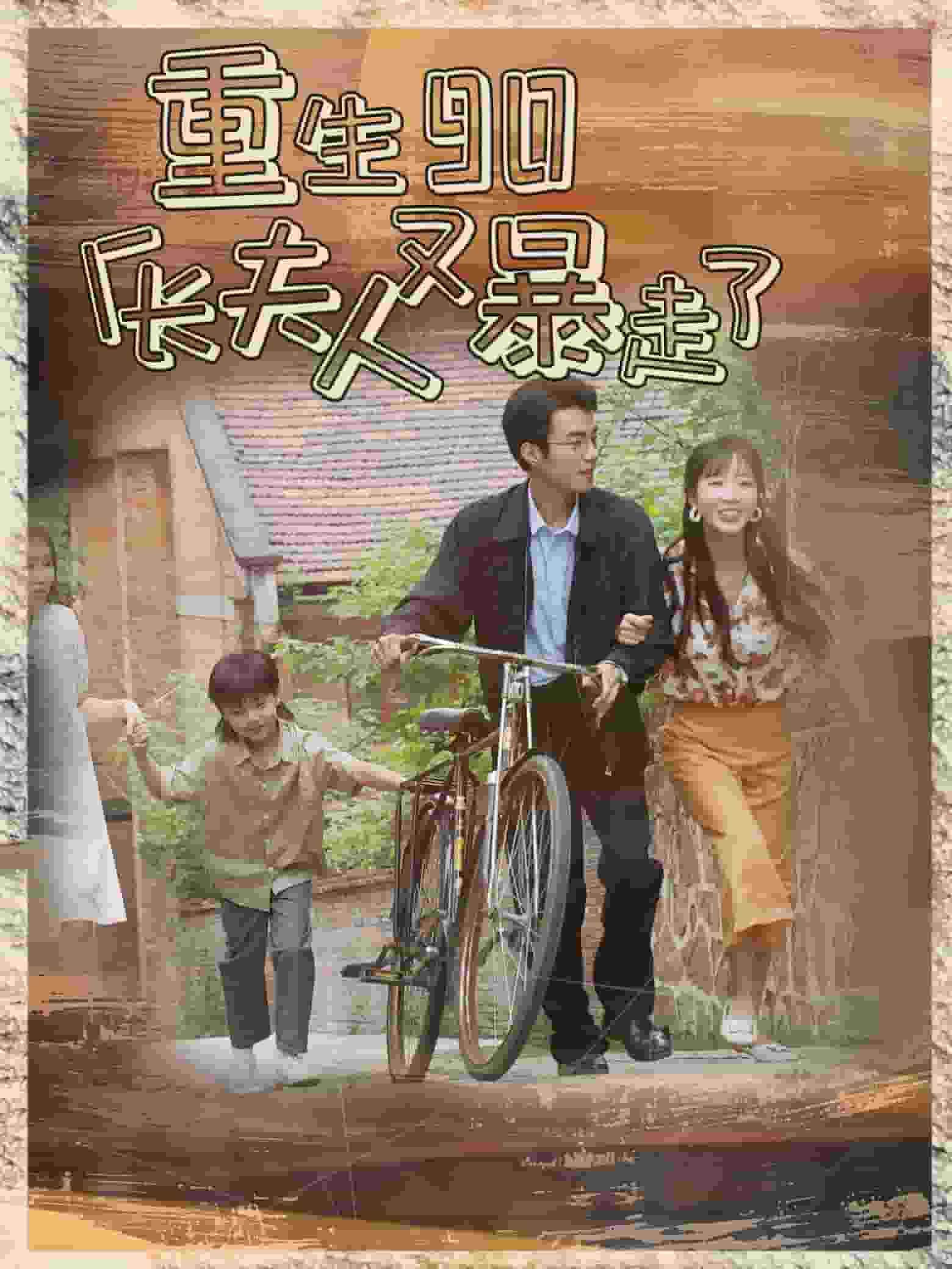 重生90厂长夫人又暴走了海报