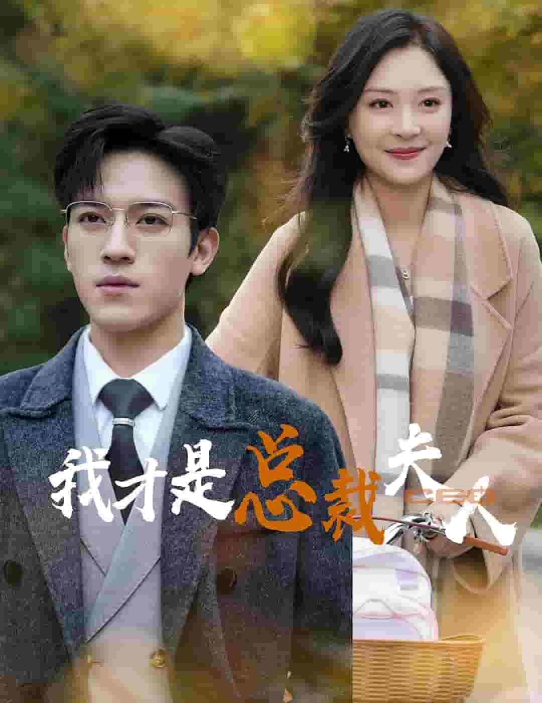 我才是总裁夫人海报