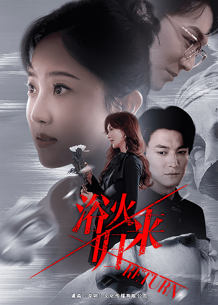 浴火归来海报