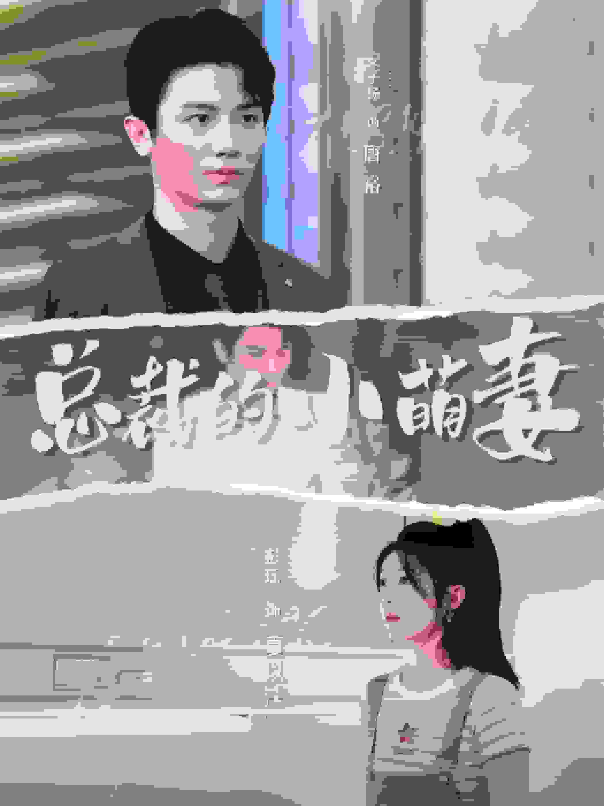 总裁的小萌妻海报