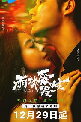 雨林爱发生海报