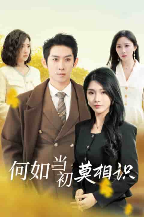 何如当初莫相识海报