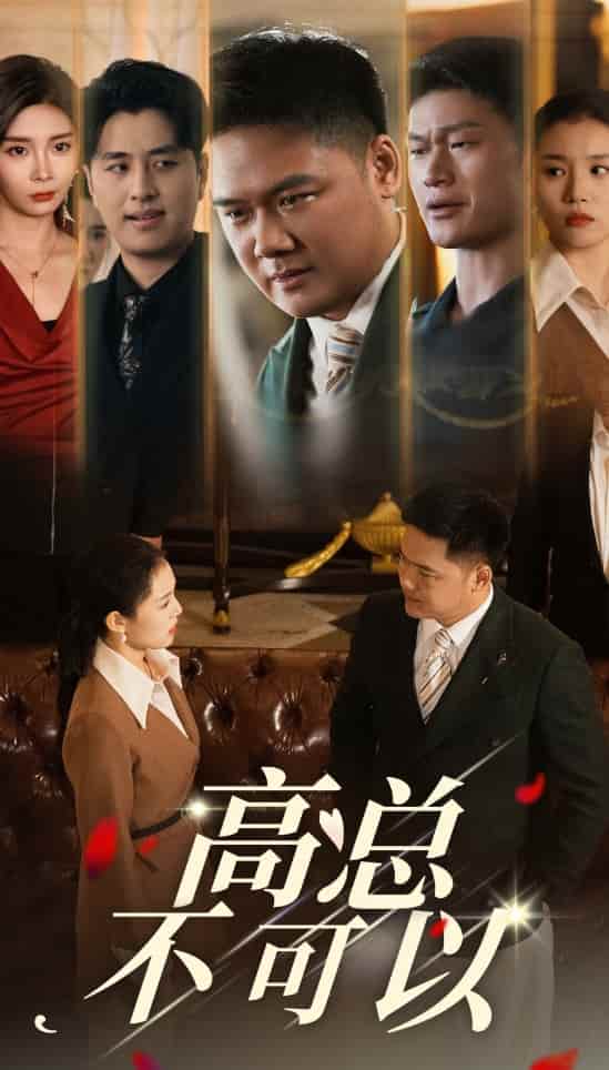 高总不可以海报