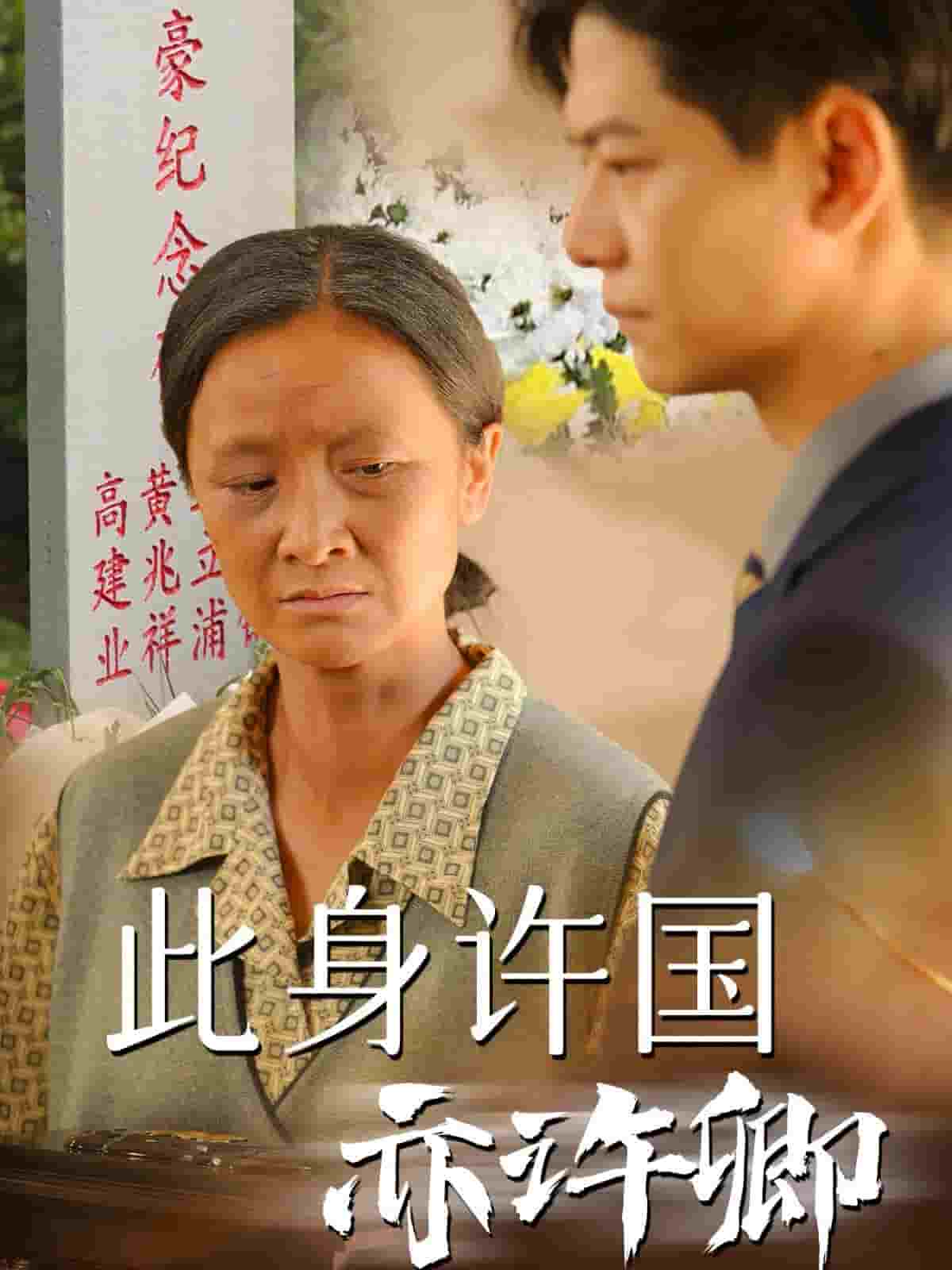 此身许国亦许卿海报