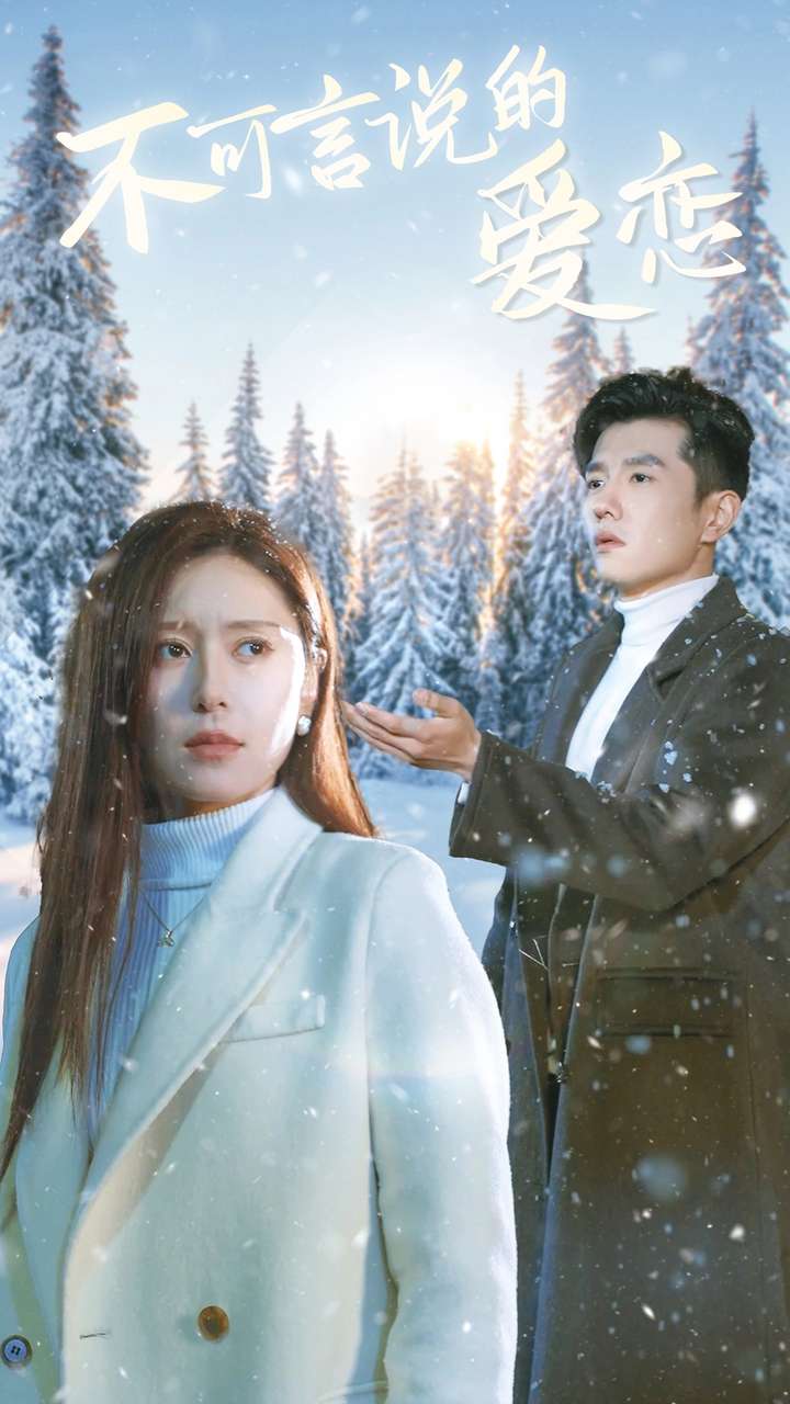 不可言说的爱恋海报