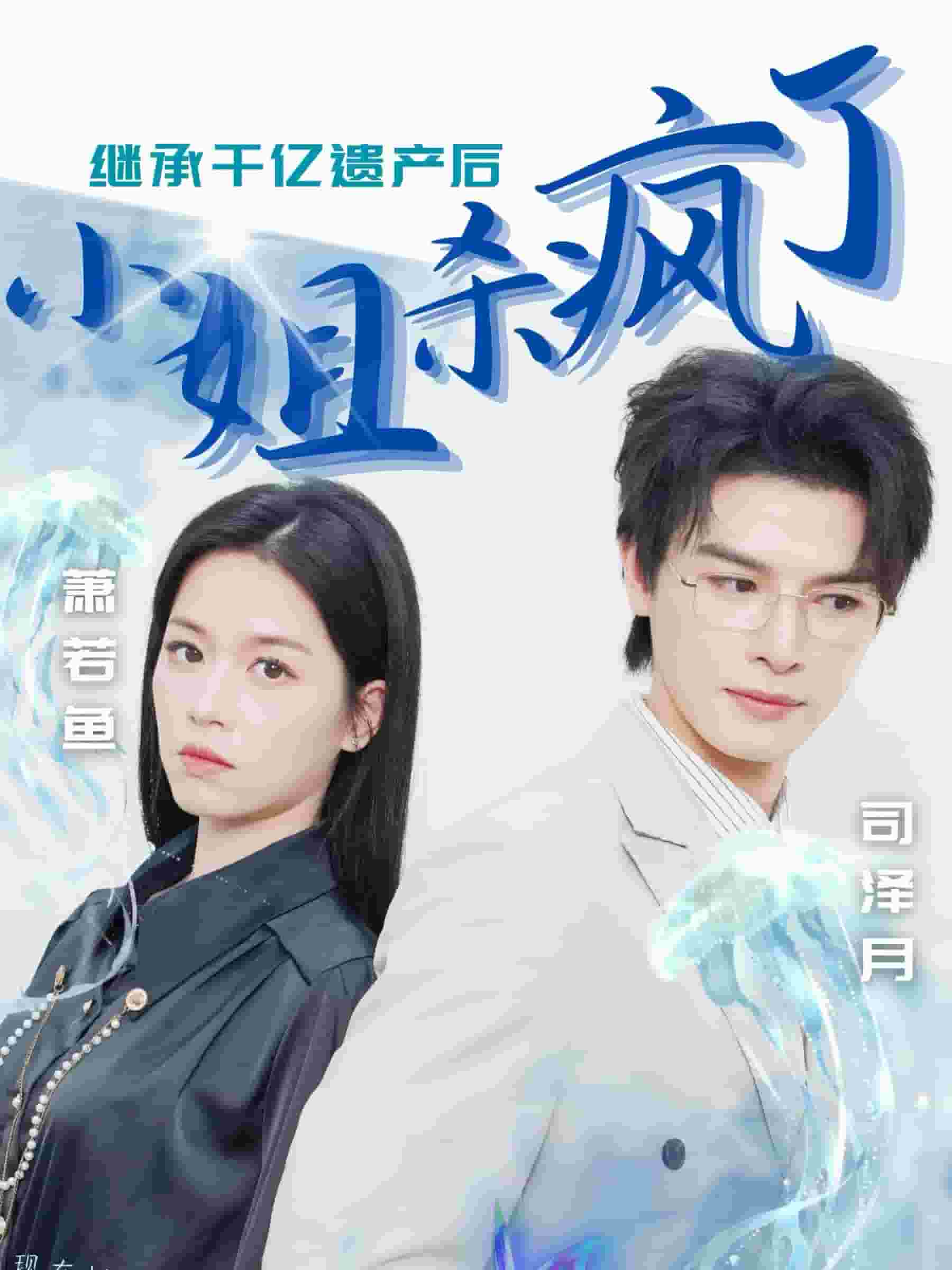 继承千亿遗产后小姐杀疯了海报