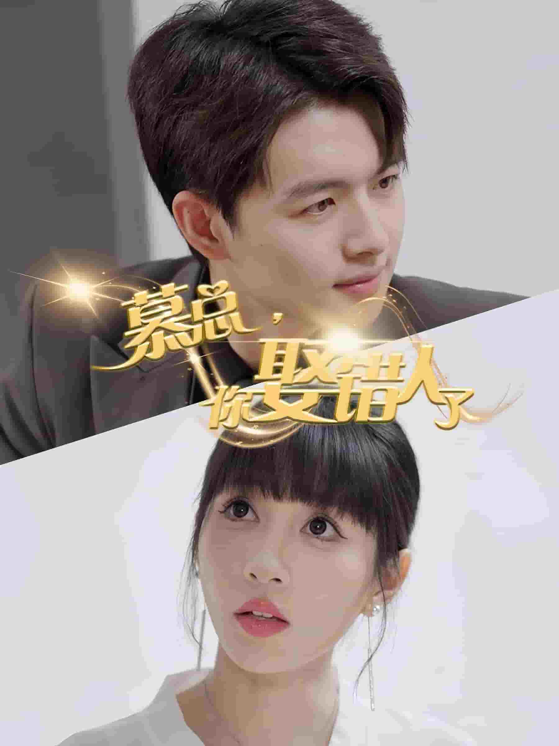 慕总你娶错人了海报