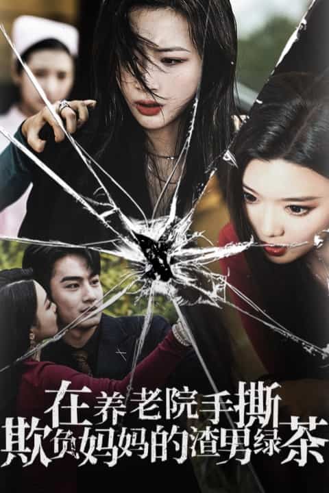 在养老院手撕欺负妈妈的渣男绿茶海报