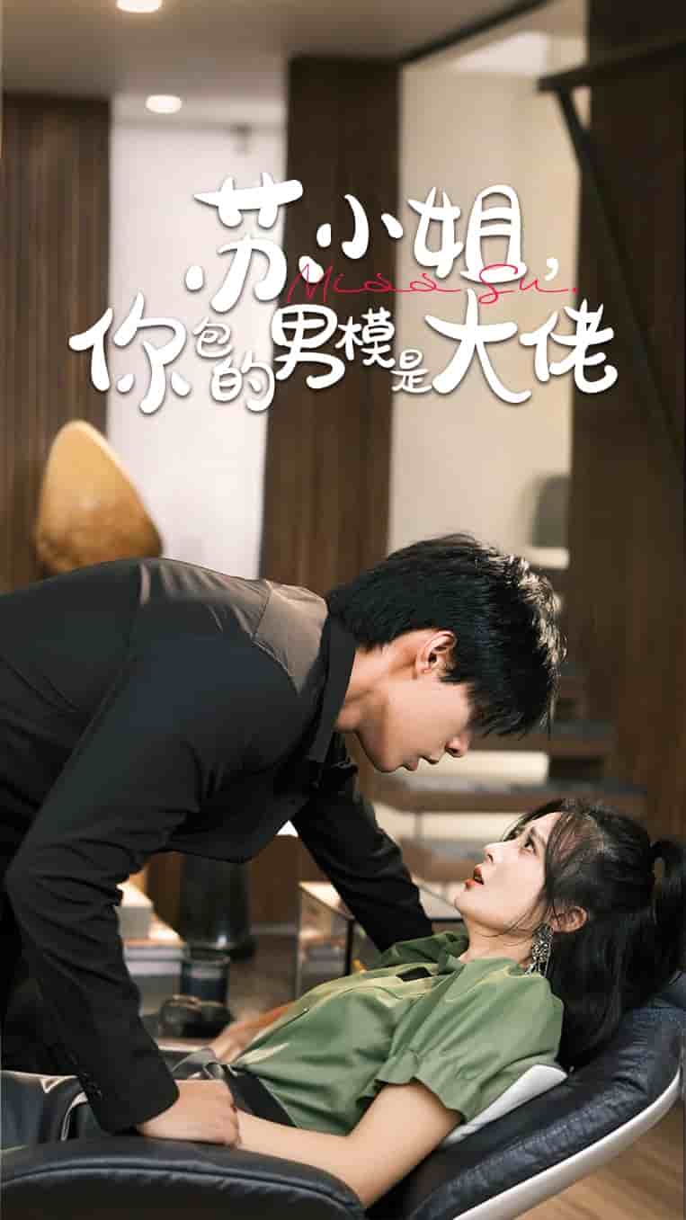 苏小姐你包的男模是大佬海报