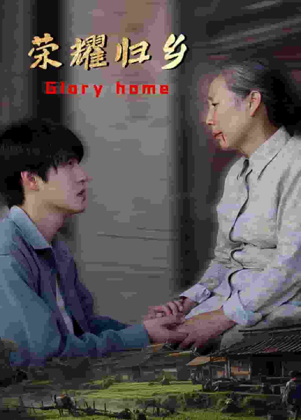 荣耀归乡海报