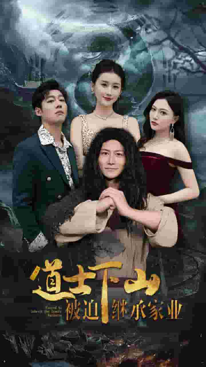 道士下山被迫继承家业海报