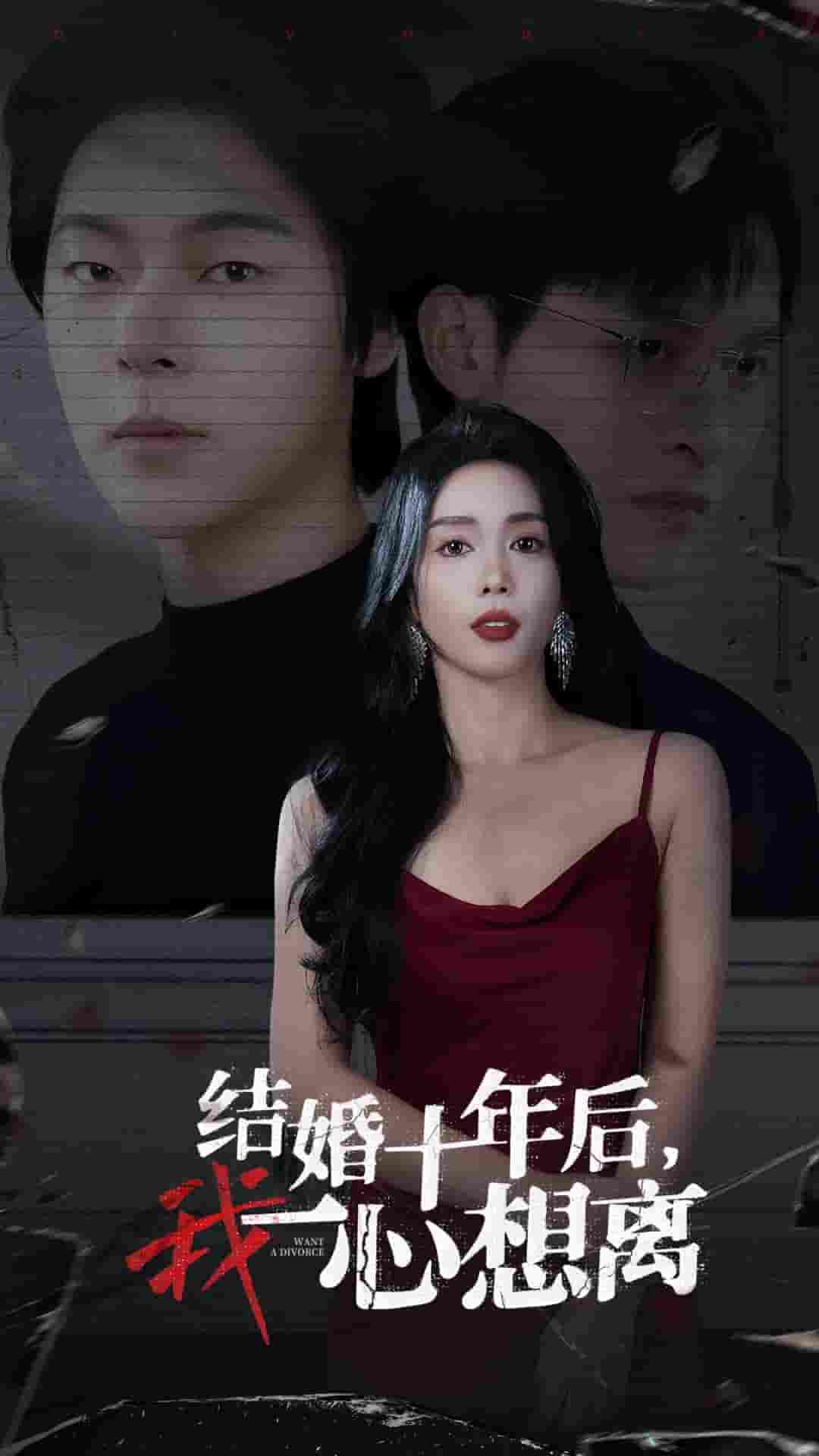 结婚十年后我一心想离海报