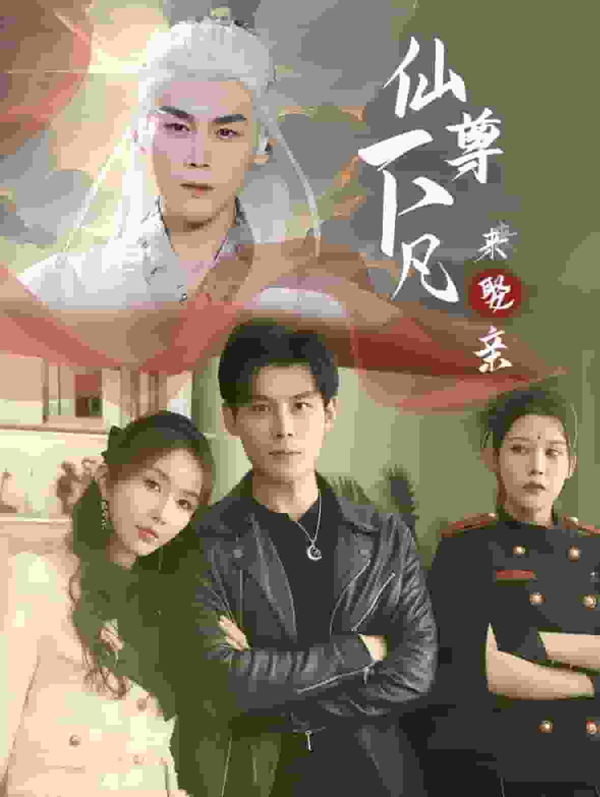 仙尊下凡来娶亲海报