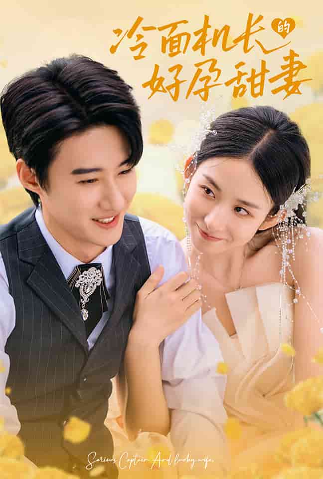 冷面机长的好孕甜妻海报