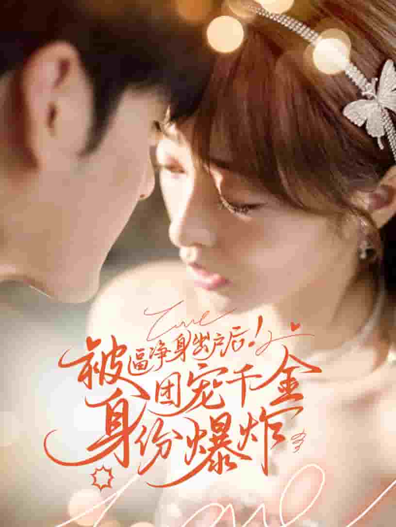 被逼净身出户后团宠千金身份爆炸海报