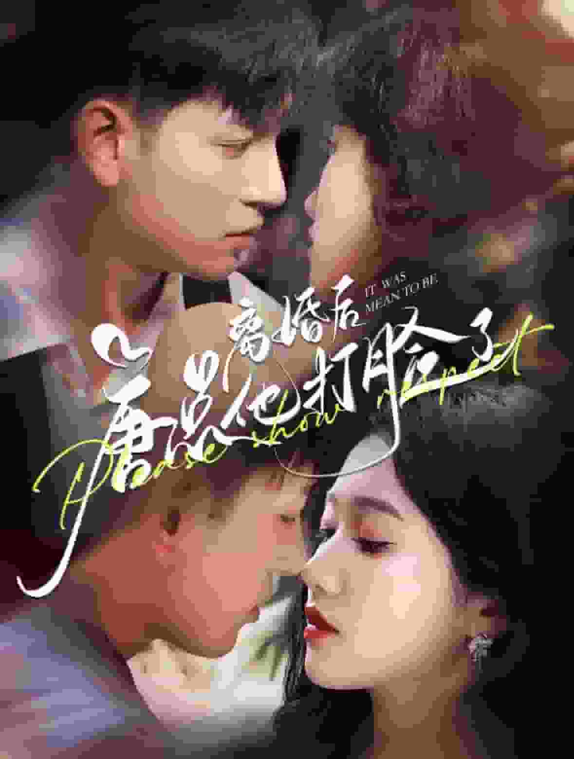 离婚后唐总他打脸了海报