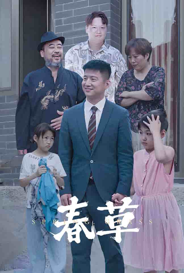 春草 短剧版海报