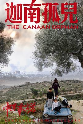 中东大宝荐2：迦南孤儿海报